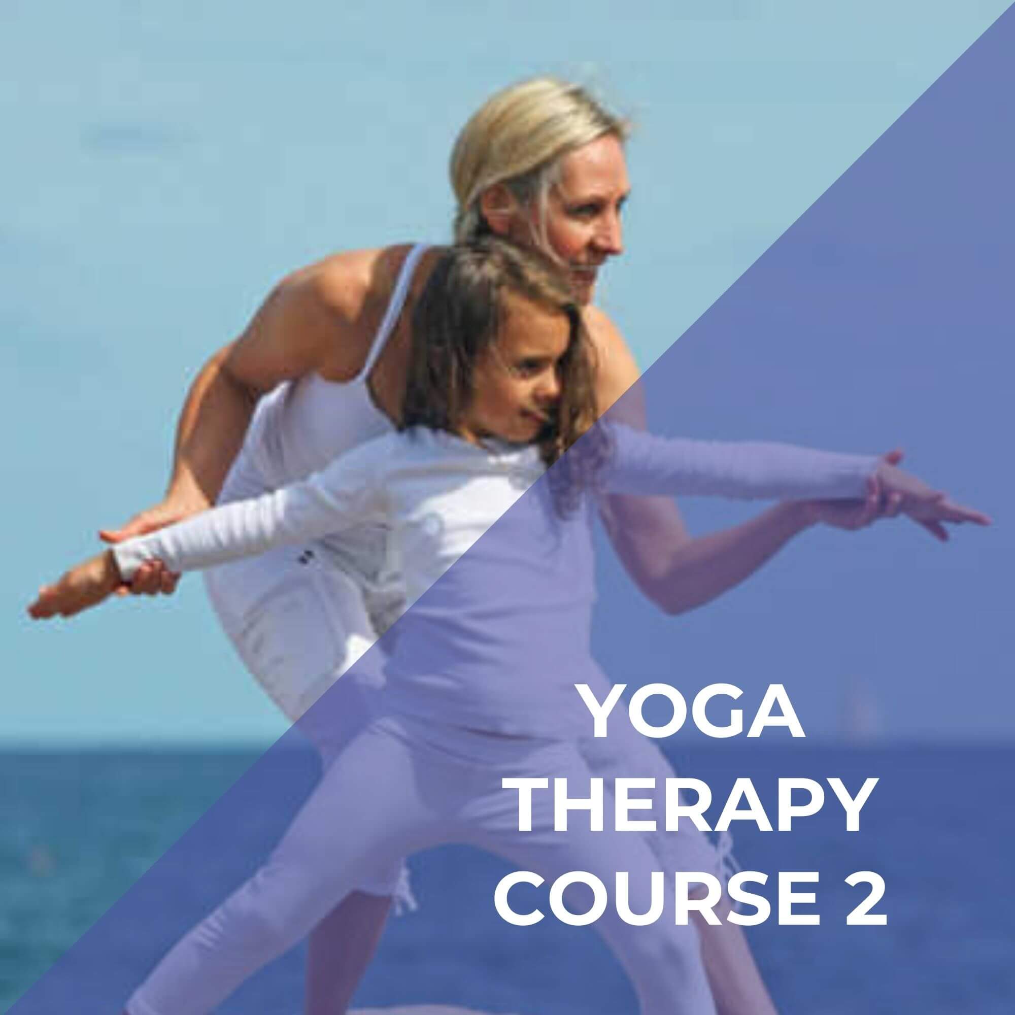 Yoga Therapy Course 2